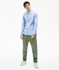 Thegreenvogue.shop049ccce864 2