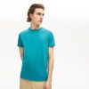 Thegreenvogue.shop3b7fd02f46 1