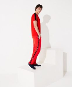 Thegreenvogue.shop43039c8caa 2