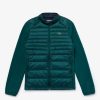 Thegreenvogue.shop4925ef4fc5 1