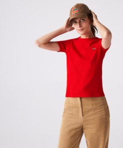 Thegreenvogue.shop565cc410e2 2