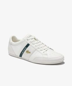 Thegreenvogue.shopa04b3fed13 1