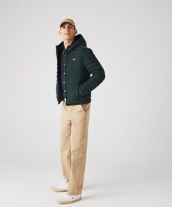 Thegreenvogue.shopa5f625470a 2
