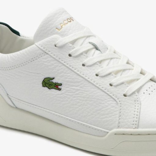 Thegreenvogue.shopaf2ae7f320 6