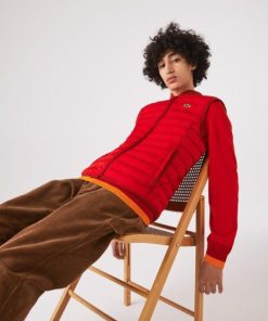 Thegreenvogue.shopc2a1a53437 1