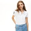 Thegreenvogue.shopc6f927a5f1 1