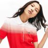 Thegreenvogue.shopcd4f3077d5 1