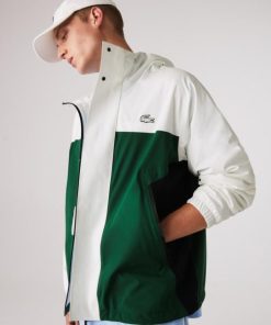 Thegreenvogue.shopd2c493de9e 1