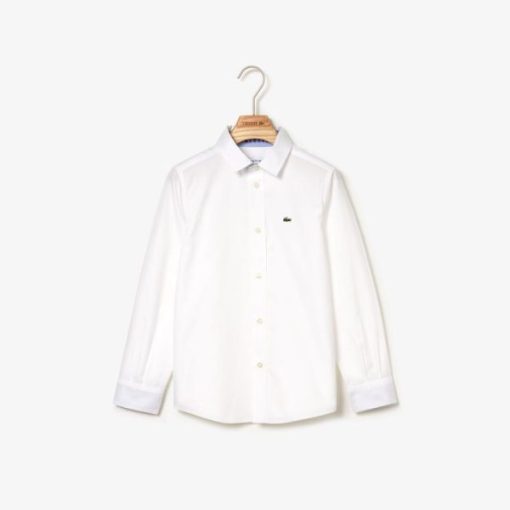 Thegreenvogue.shopf9e6034ab5 1